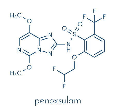 Penoxsulam herbicide molecule. Skeletal formula.の写真素材