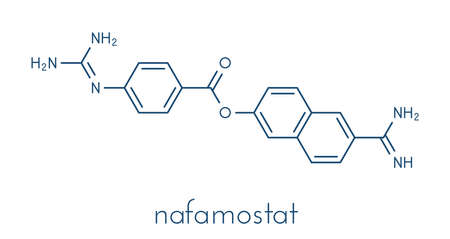 Nafamostat drug molecule (serine protease inhibitor). Skeletal formula.の写真素材
