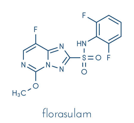 Florasulam herbicide molecule. Skeletal formula.の写真素材