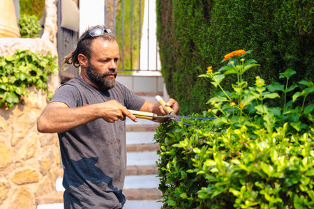 Gardener trimming hedge with shears outdoor hedge maintenance work garden careの写真素材
