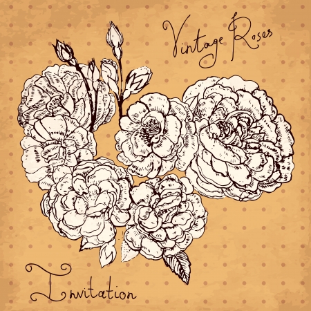 hand drawn vintage illustration with flowersのイラスト素材