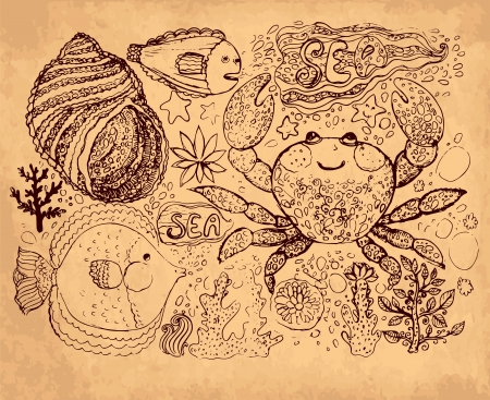 hand drawn illustration with fishes and crabのイラスト素材