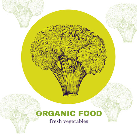 Hand drawn vector illustration with broccoli. Organic foodのイラスト素材