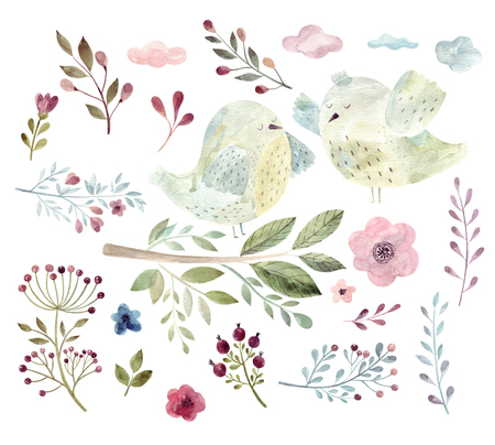 Watercolor big spring collection with birds, branches, flowers and leavesの写真素材