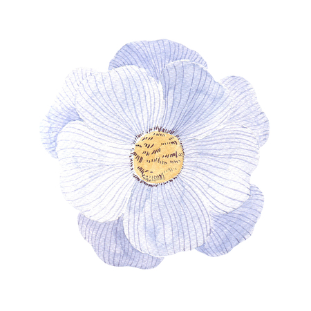 Watercolor botanicalの写真素材