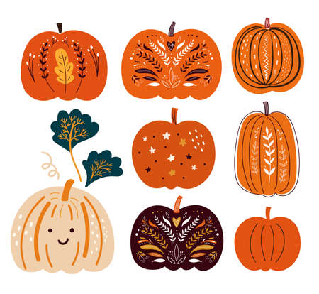 Vector collection of Halloween Pumpkins.Design for holidays Halloween and Thanksgiving Dayのイラスト素材