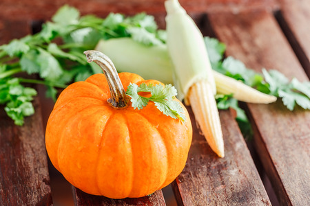 small yellow pumpkin vegetable with green leaves and cornの写真素材