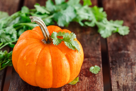 small yellow pumpkin vegetable with green leavesの写真素材