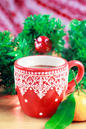 Cup of hot cocao with pine citrus and tangerineの写真素材