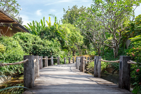 Wooden boardwalk through garden in Koh Samui Thailandの写真素材
