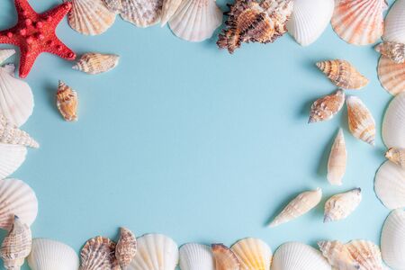 Frame of seashells and starfish on a blue background