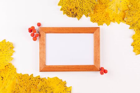 Autumn style photo frame with copy space surrounded by dry yellow leavesの写真素材