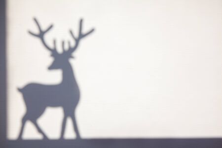 Shadow of the deer with horns silhouette on white background.の写真素材