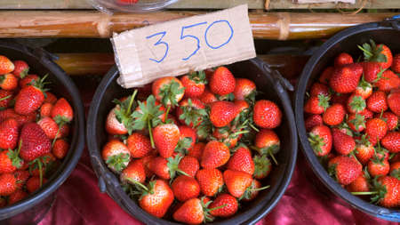 Ripe organic strawberries at local market from freshly harvested. Healthy foodの写真素材