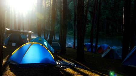 Camping and blue tent in pine forest by lake with beautiful sunshine in dawn