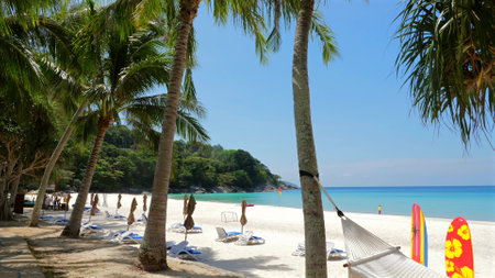 Tropical beach scenery with palm trees and tourists enjoying sunの写真素材