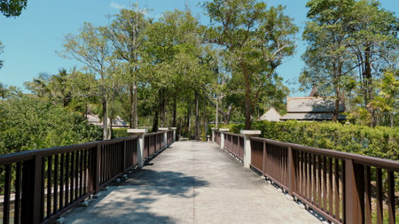 Scenic view of serene walking path in park with lush greenery underの写真素材