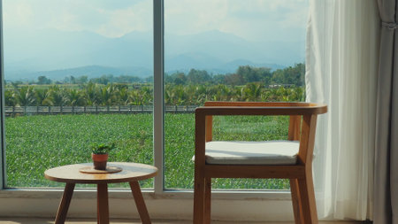 Minimalist living space with wooden furniture, large windowの写真素材
