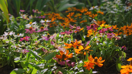 Vibrant flower garden with variety of colorful blossoms, beauty andの写真素材