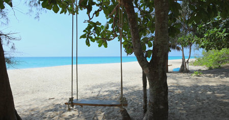 Beach swing hanging from tree with ocean view, playful and relaxing.の写真素材