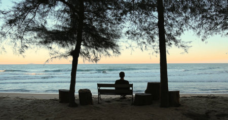 Silhouette of person on beach bench at sunset under trees, ocean wavesの写真素材