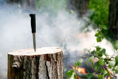 Smoke coming from burning woodsの写真素材