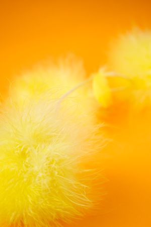 yellow easter feathers on bright orange backgroundの写真素材