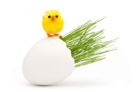 Easter grass growing in egg shellの写真素材