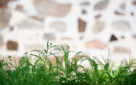 Interesting texture of stone wall of buildingの写真素材