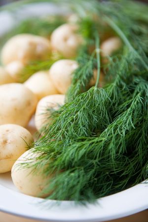 Fresh potatoes and dill on white plateの写真素材