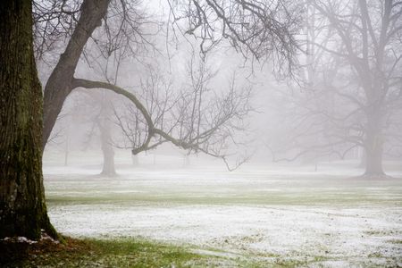 Foggy weather in early winterの写真素材
