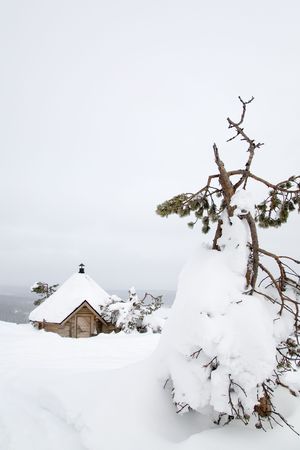 Winter landscape in Lapland Finland