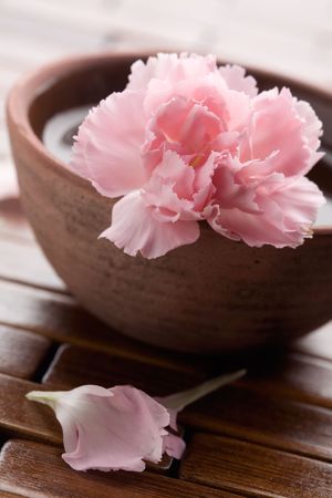 Pink dianthus in brown bowlの写真素材