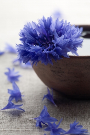 Blue cornflower in brown bowlの写真素材