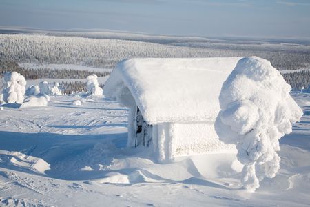 Beautiful winter landscape with snowy trees in Lapland