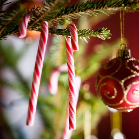 Colorful christmas ornaments hanging from christmas treeの写真素材