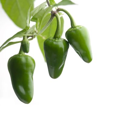 Raw cayenne chilies on white isolated backgroundの写真素材