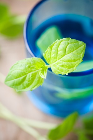 Bunch of fresh mint in blue glassの写真素材