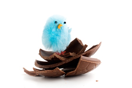 Chocolate easter eggs with little blue chickenの写真素材