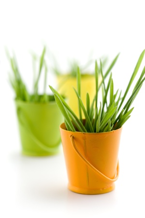 Easter decoration with grass on white backgroundの写真素材