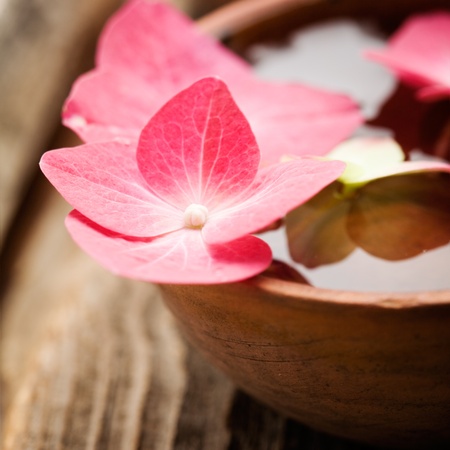 Detail of hortensia petals floating on bowl of waterの写真素材