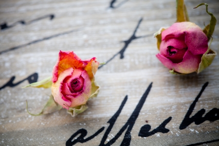 Beautiful dried pink roses on wooden backgroundの写真素材