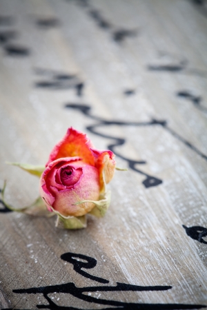 Beautiful dried pink roses on wooden backgroundの写真素材
