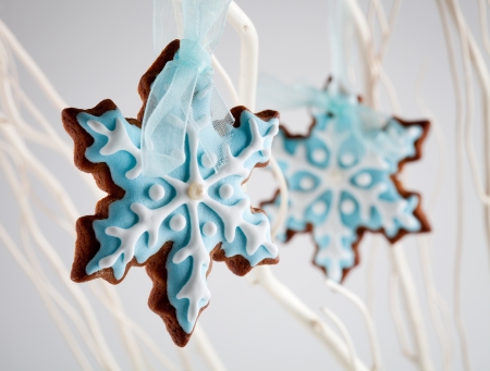 Gingerbread cookies decorated with light blue and whiteの写真素材