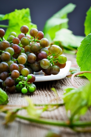 Bunch of grapes in white bowlの写真素材