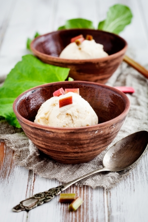 Homemade ice cream with rhubarb and vanillaの写真素材