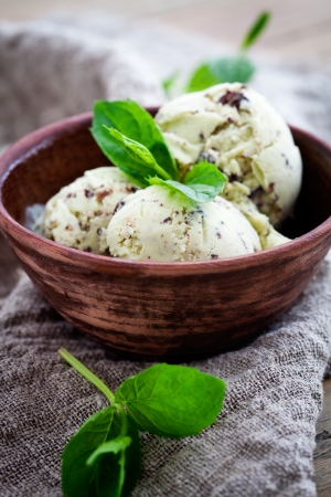 Homemade ice cream with mint and chocolate chipsの写真素材