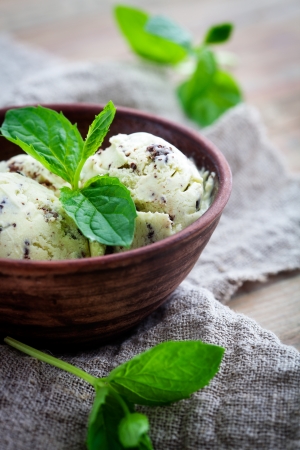 Homemade ice cream with mint and chocolate chipsの写真素材