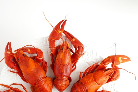 Fresh boiled cradwfish on white isolated backgroundの写真素材
