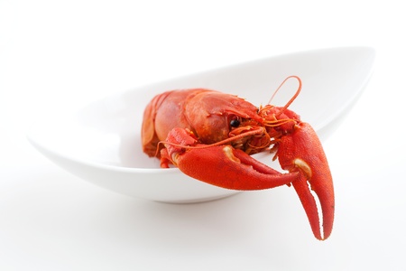 Fresh boiled cradwfish on white isolated backgroundの写真素材